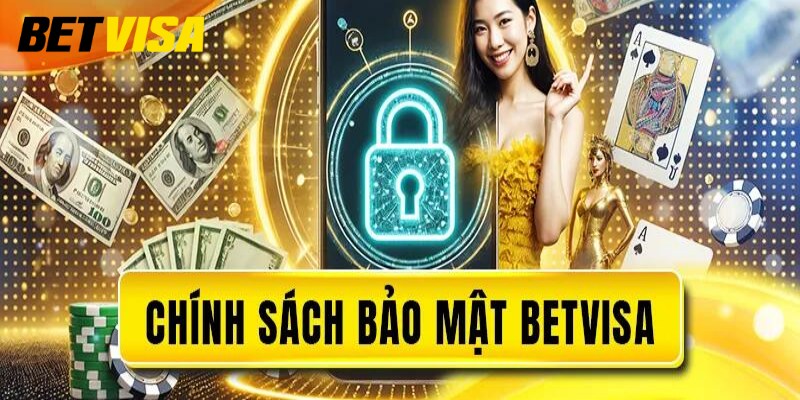 Các loại thông tin Betvisa thu thập từ người dùng
