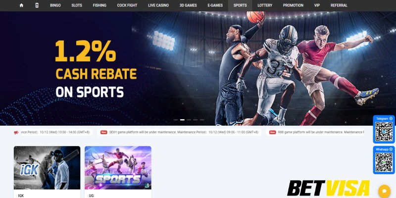 Danh sách những lợi ích khi tham gia khuyến mãi và ưu đãi tại Betvisa