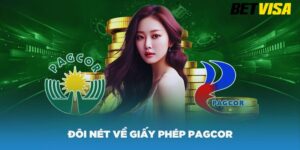 Điều Kiện Và Quy Trình Cấp Giấy Phép PAGCOR