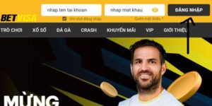 Hướng dẫn chi tiết quy trình đăng ký tài khoản Betvisa