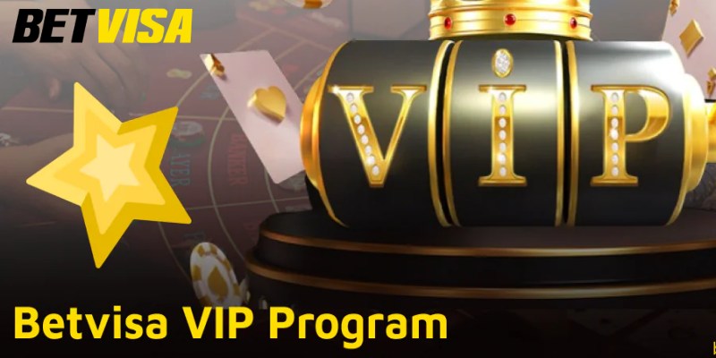 Tại Sao Nên Tham Gia Chương Trình VIP Betvisa